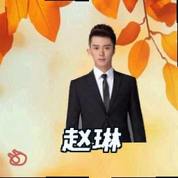 赵琳